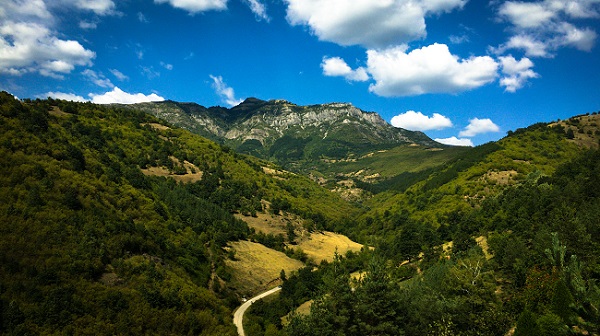 The nature in Bulgaria 