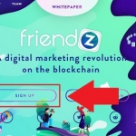 friendz ico review