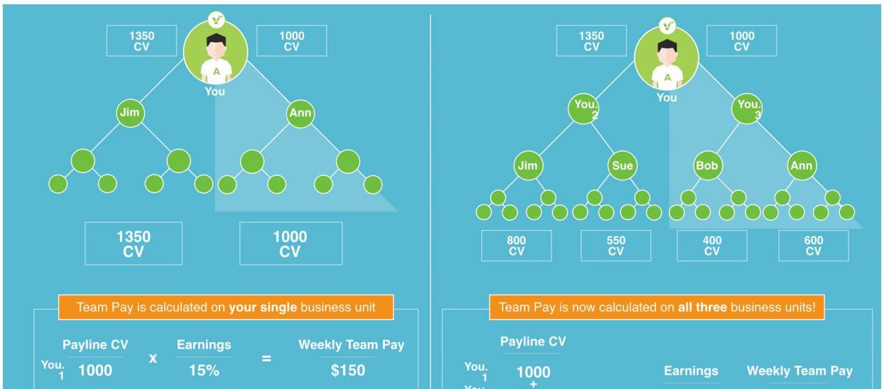 is viridian energy a pyramid scheme