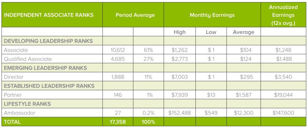 viridian energy income statement