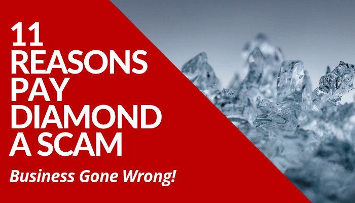 Read my honest comprehensive review about why Pay Diamond a scam before you decide to invest and join their network marketing company. Learn more.